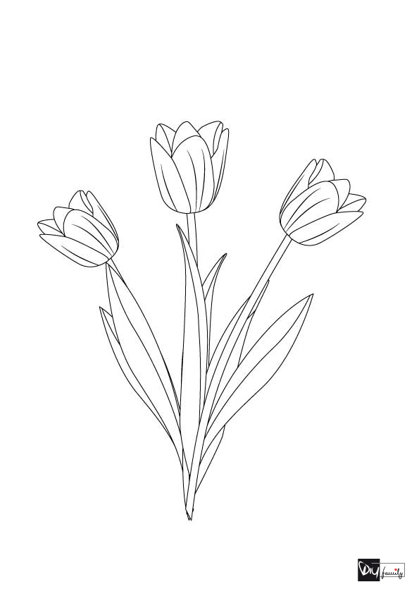 Please accept cookies first