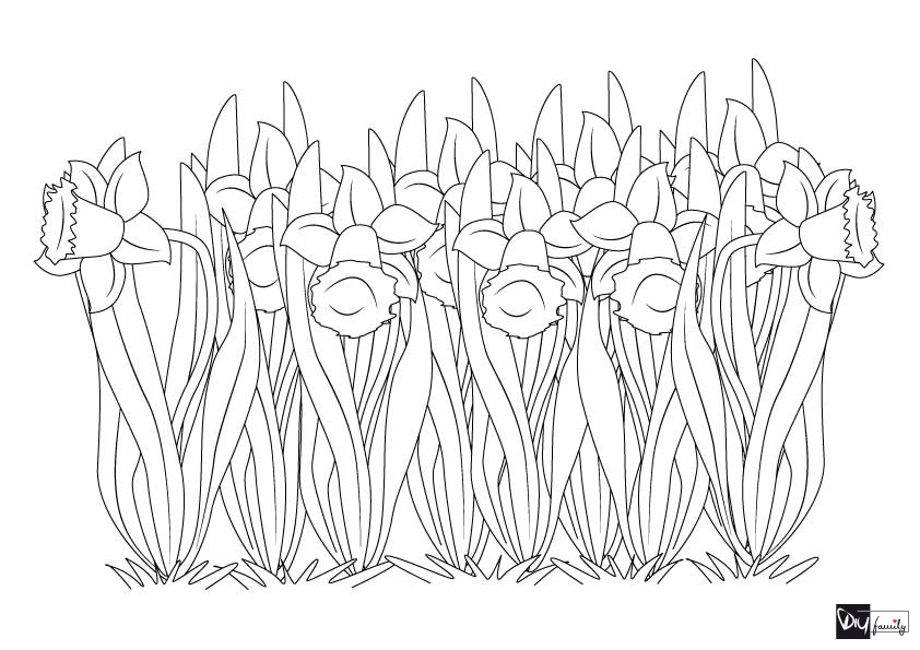 Please accept cookies first