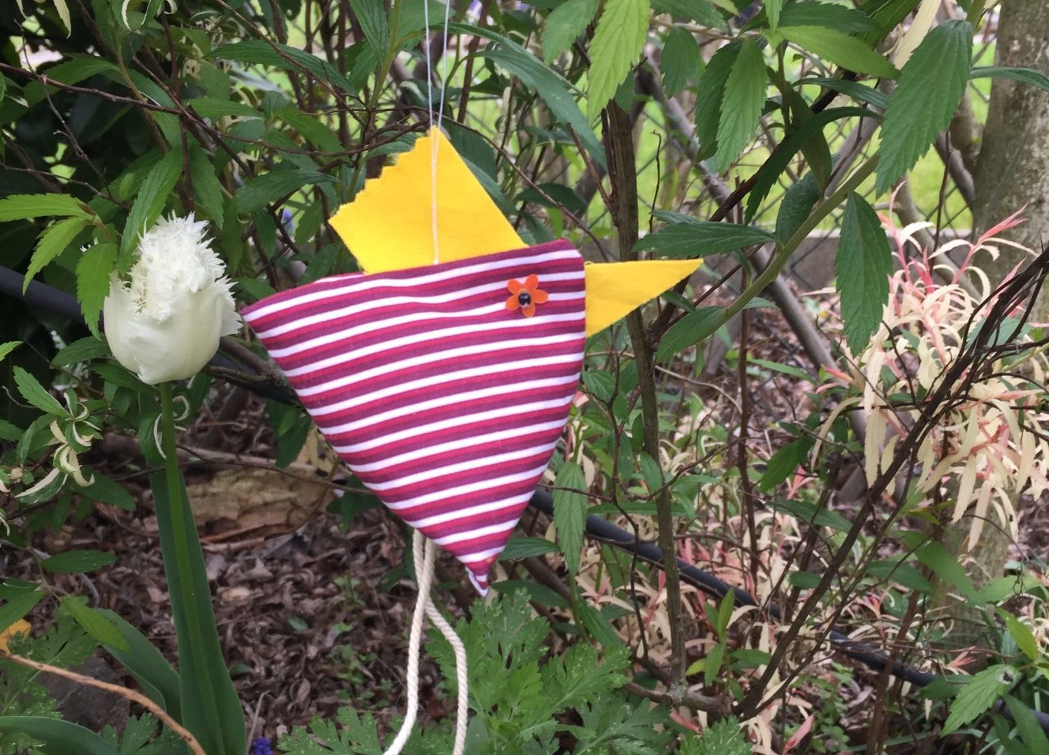 Please accept cookies first