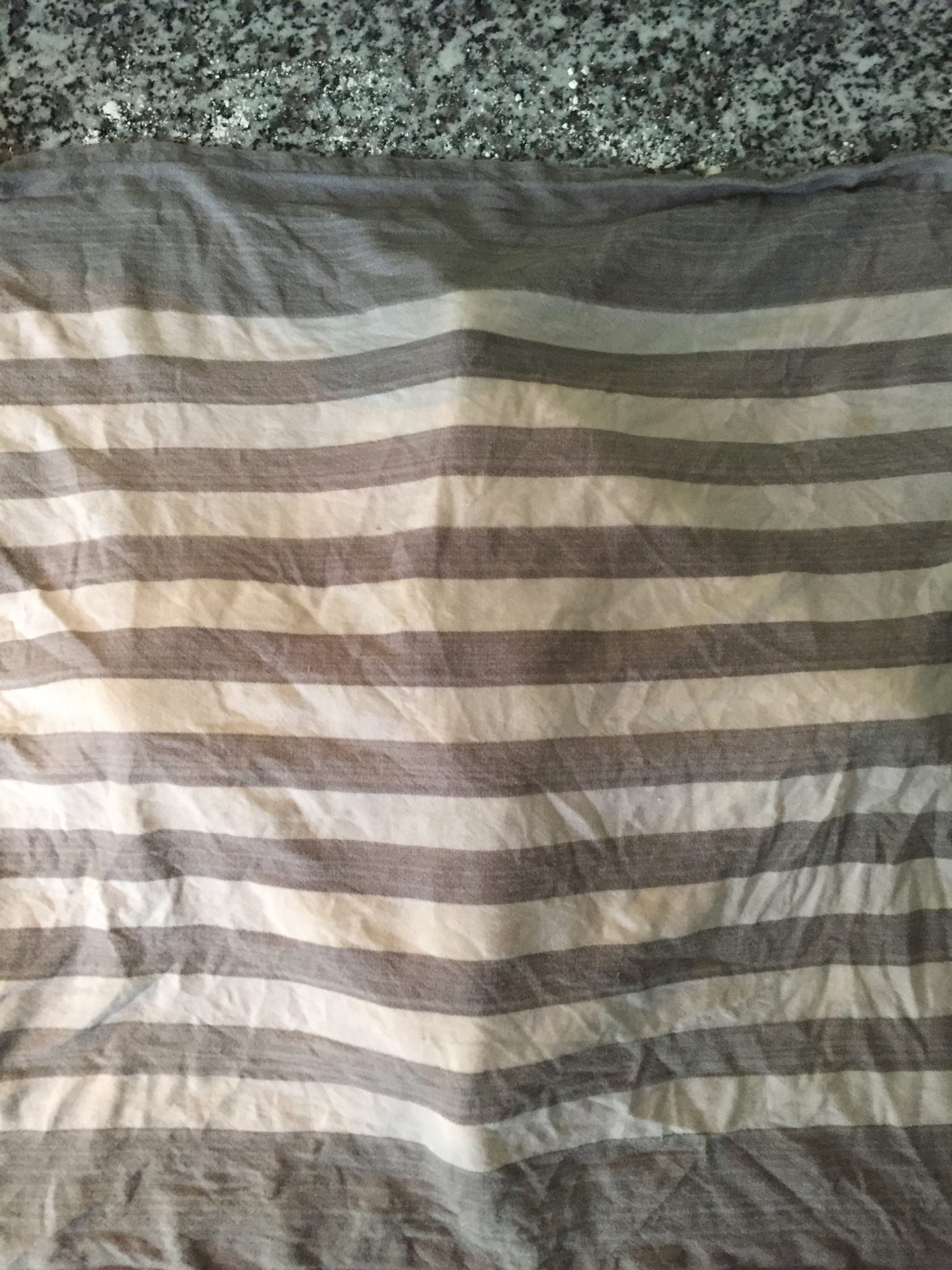 Please accept cookies first