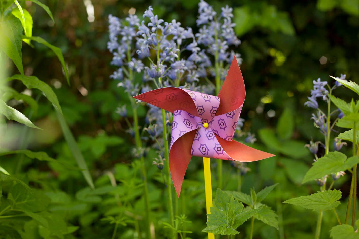 Please accept cookies first
