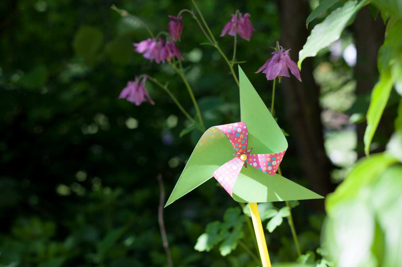 Please accept cookies first