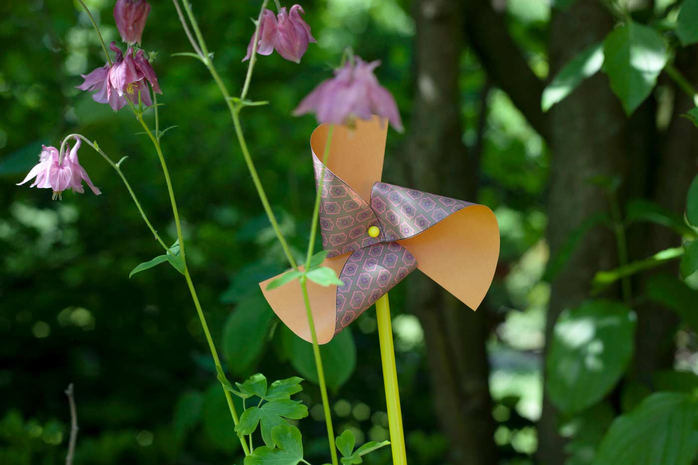 Please accept cookies first