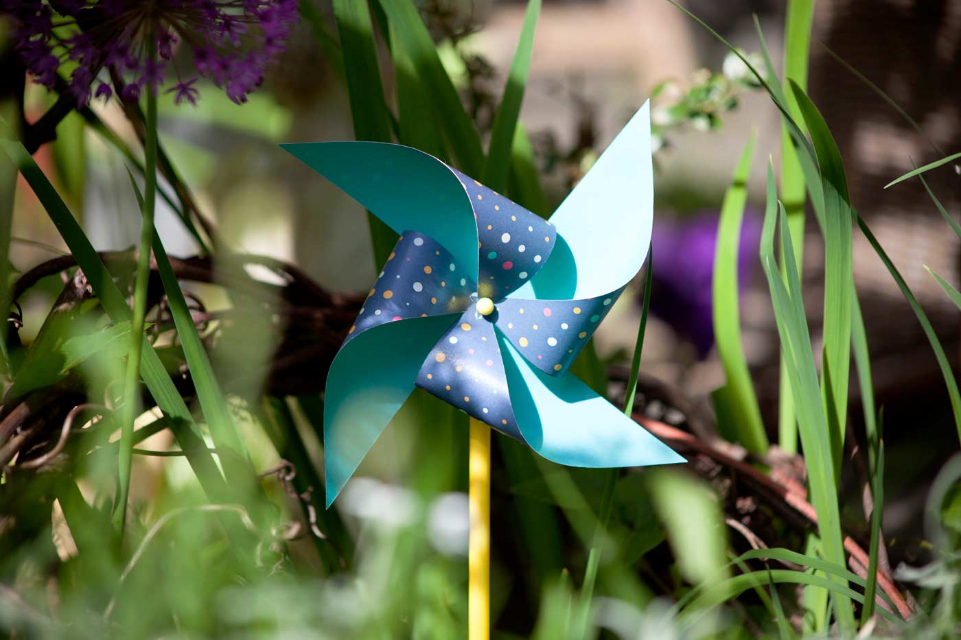 Please accept cookies first