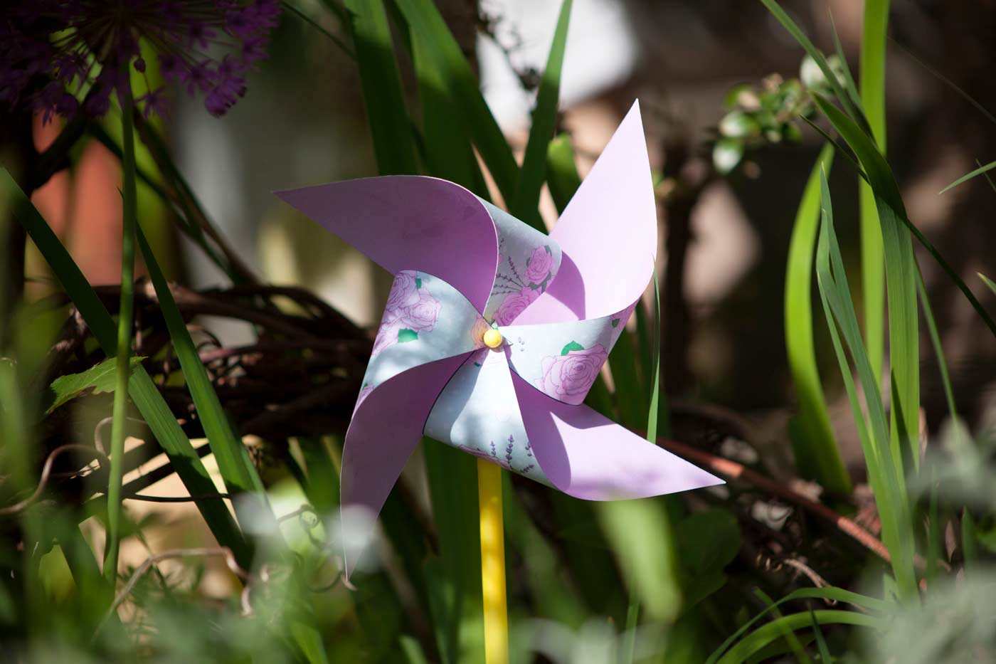 Please accept cookies first