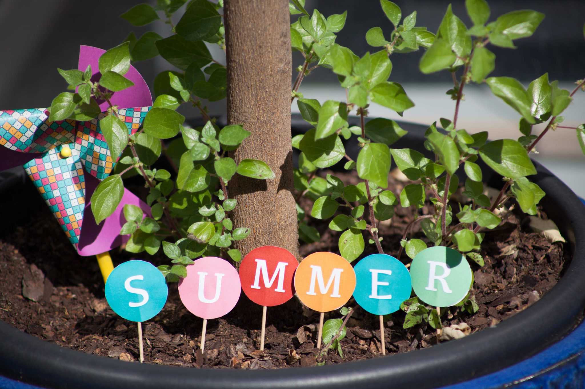 Please accept cookies first