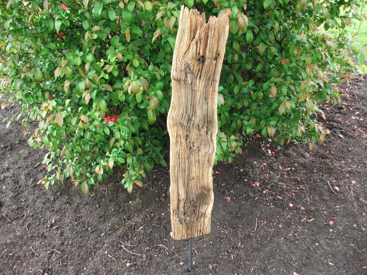 Please accept cookies first