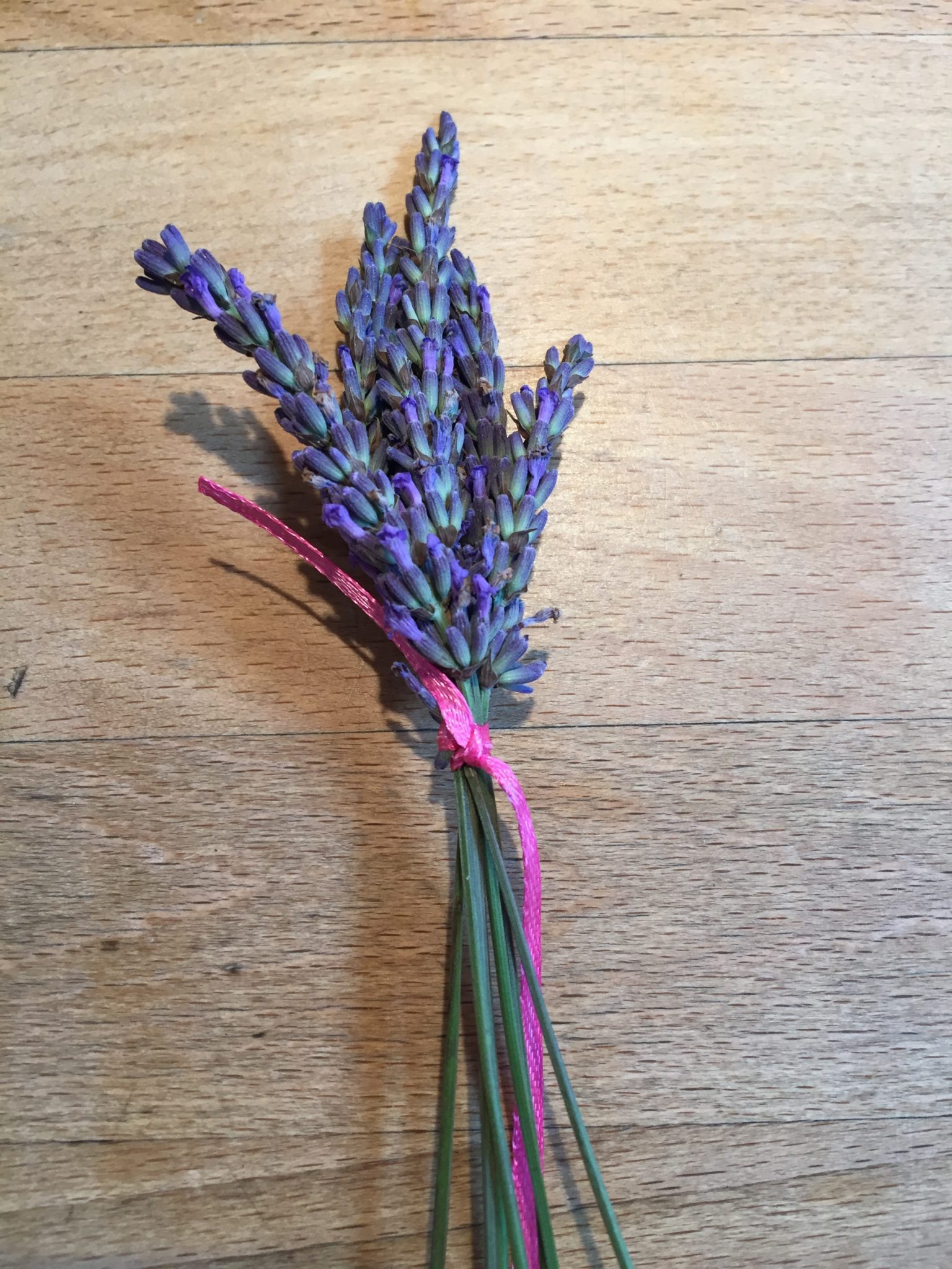 Please accept cookies first