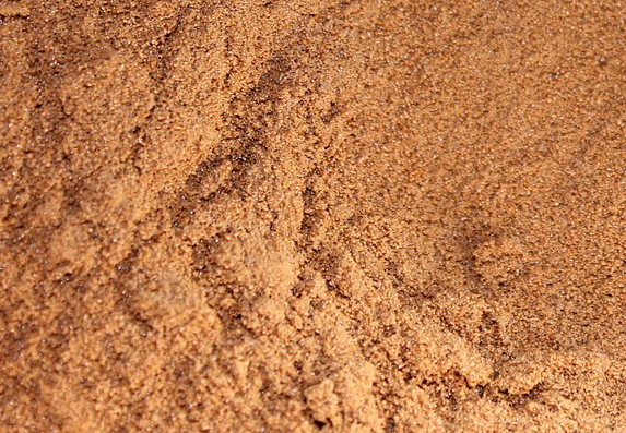 Please accept cookies first