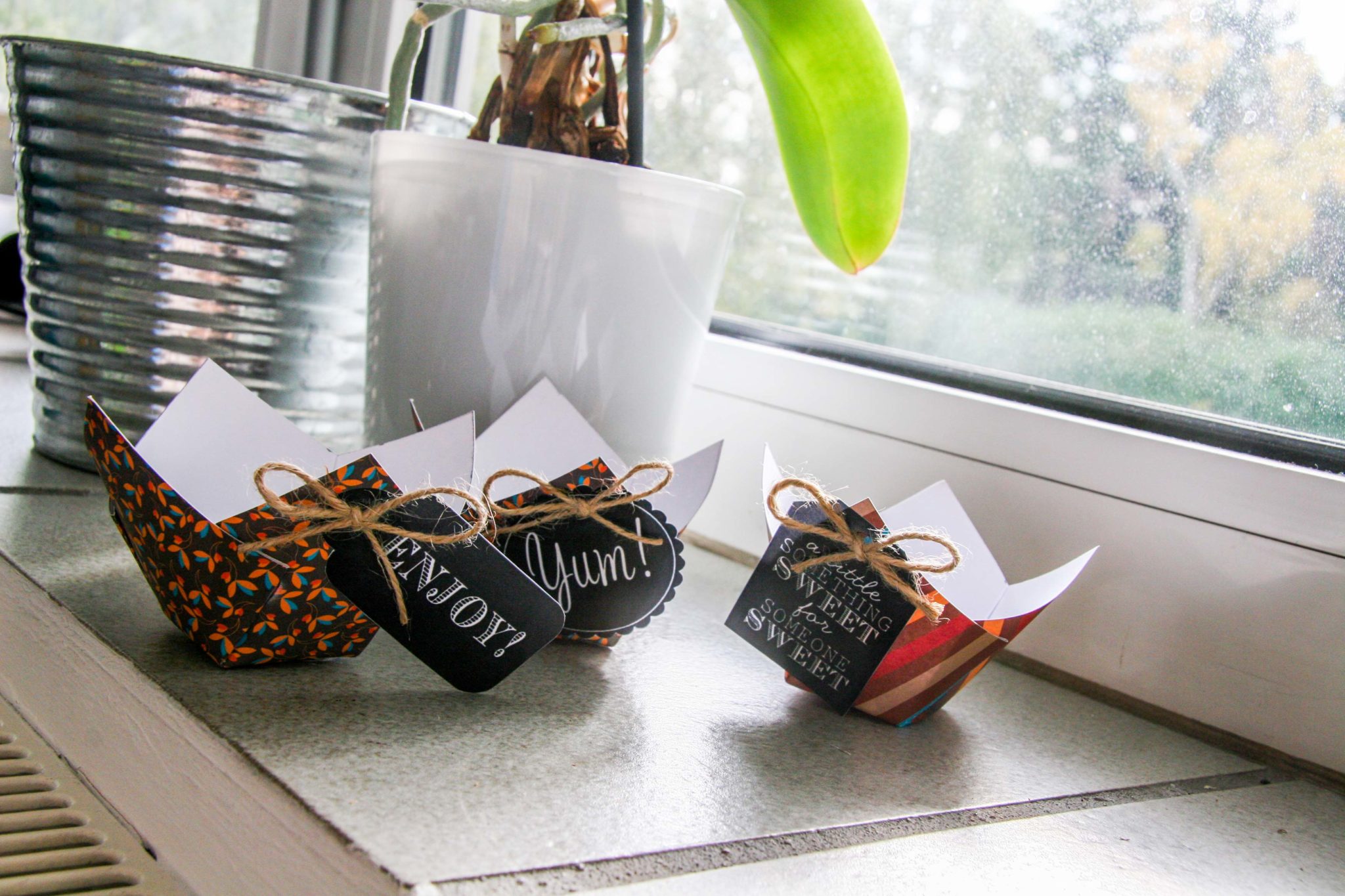 Please accept cookies first