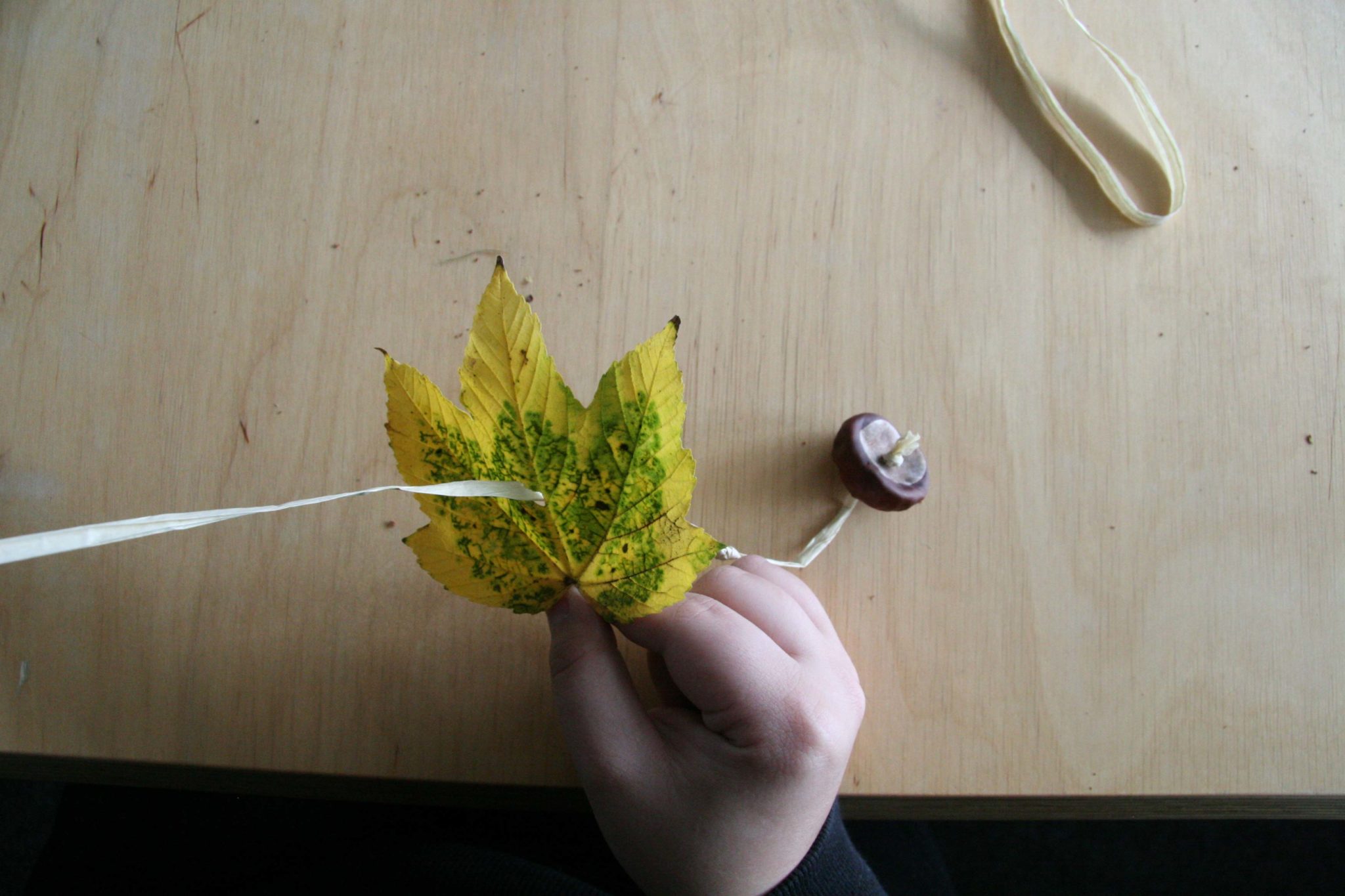 Please accept cookies first