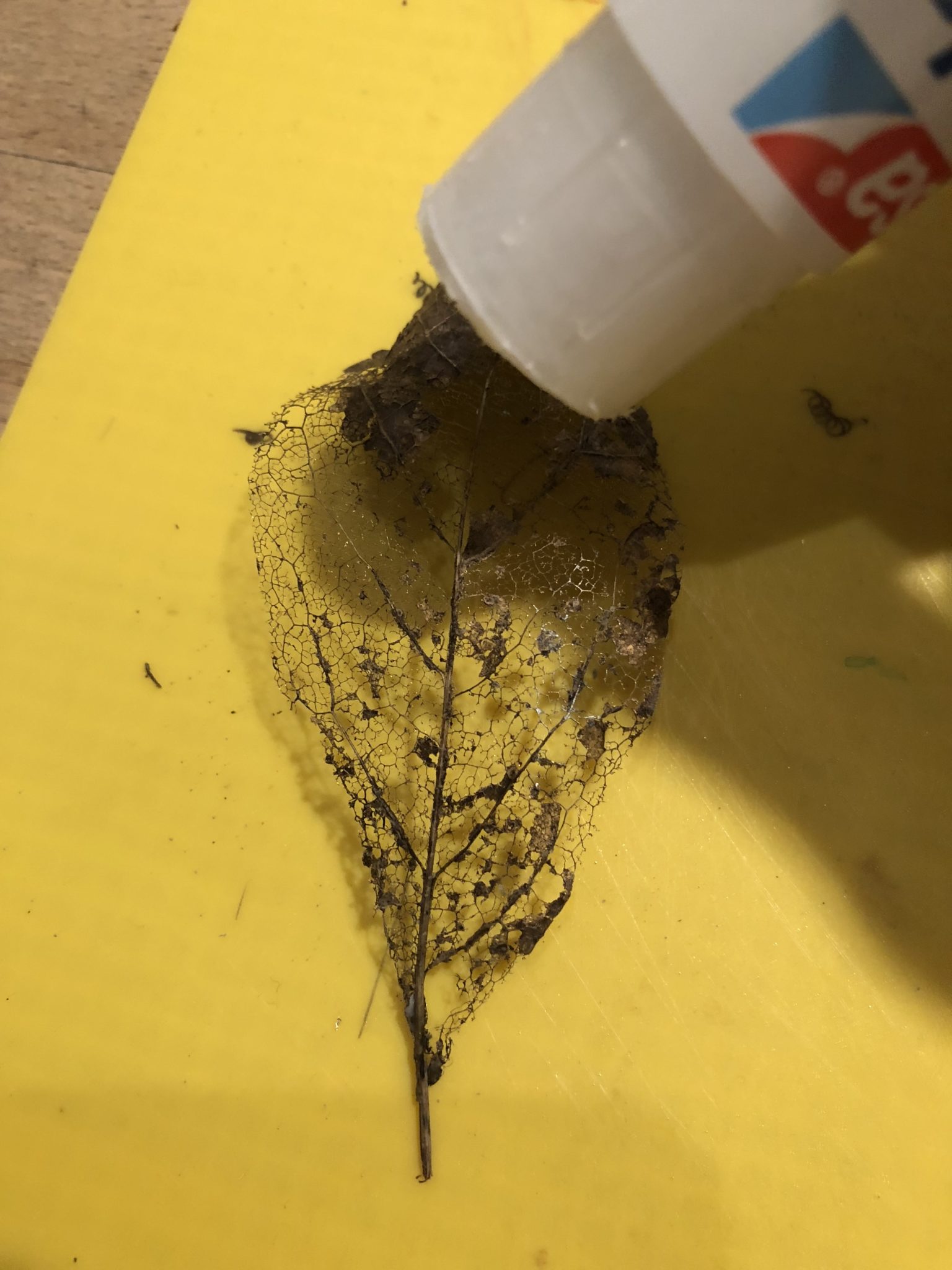 Please accept cookies first