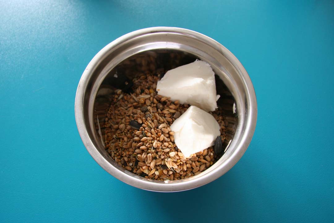 Please accept cookies first