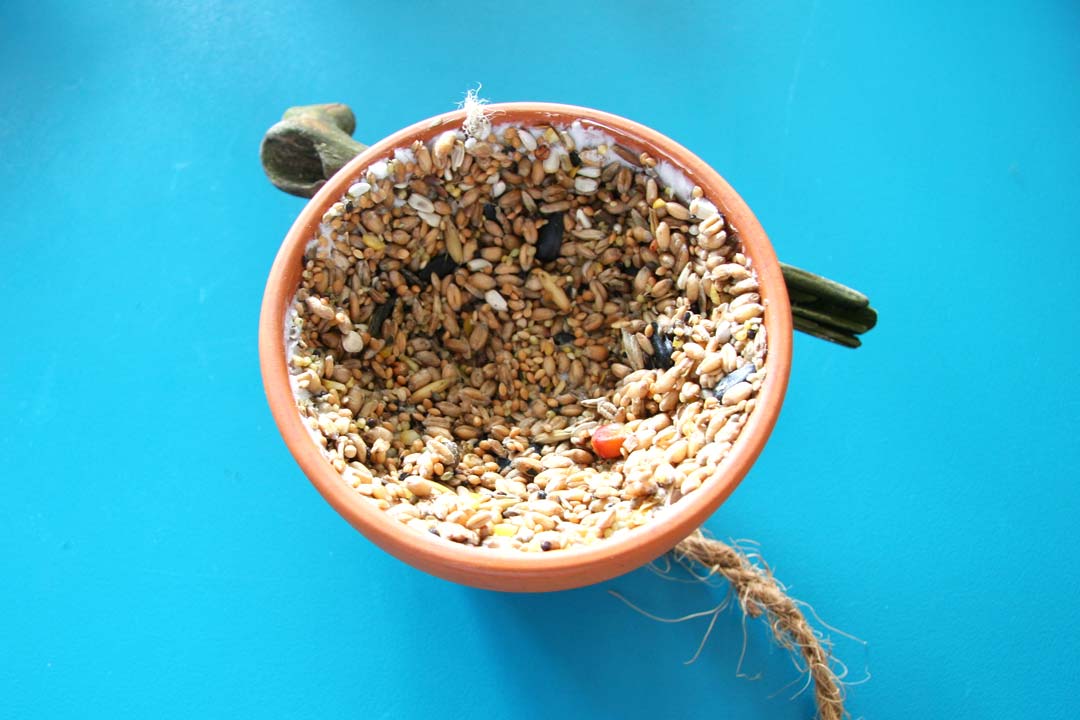 Please accept cookies first