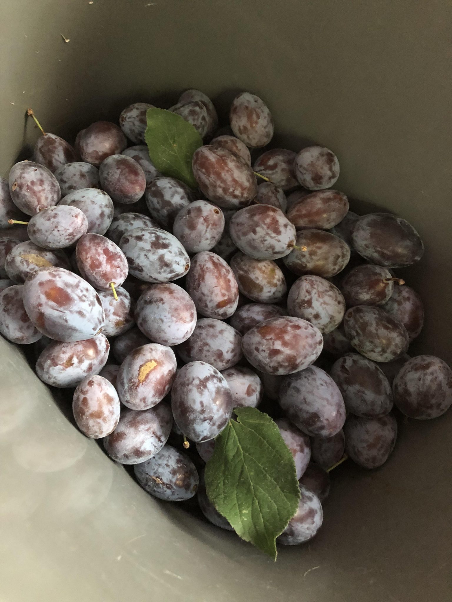 Please accept cookies first