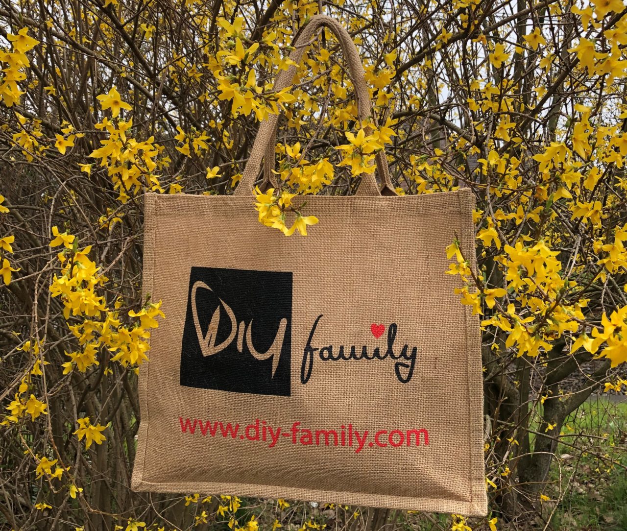 Please accept cookies first