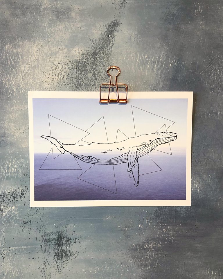 Please accept cookies first