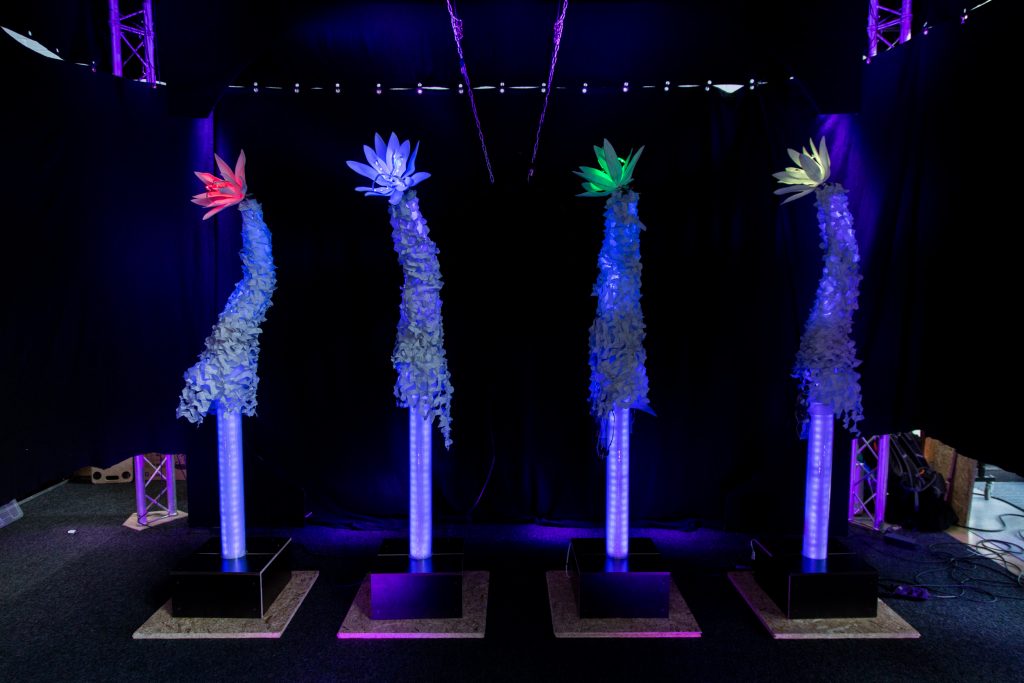 Please accept cookies first