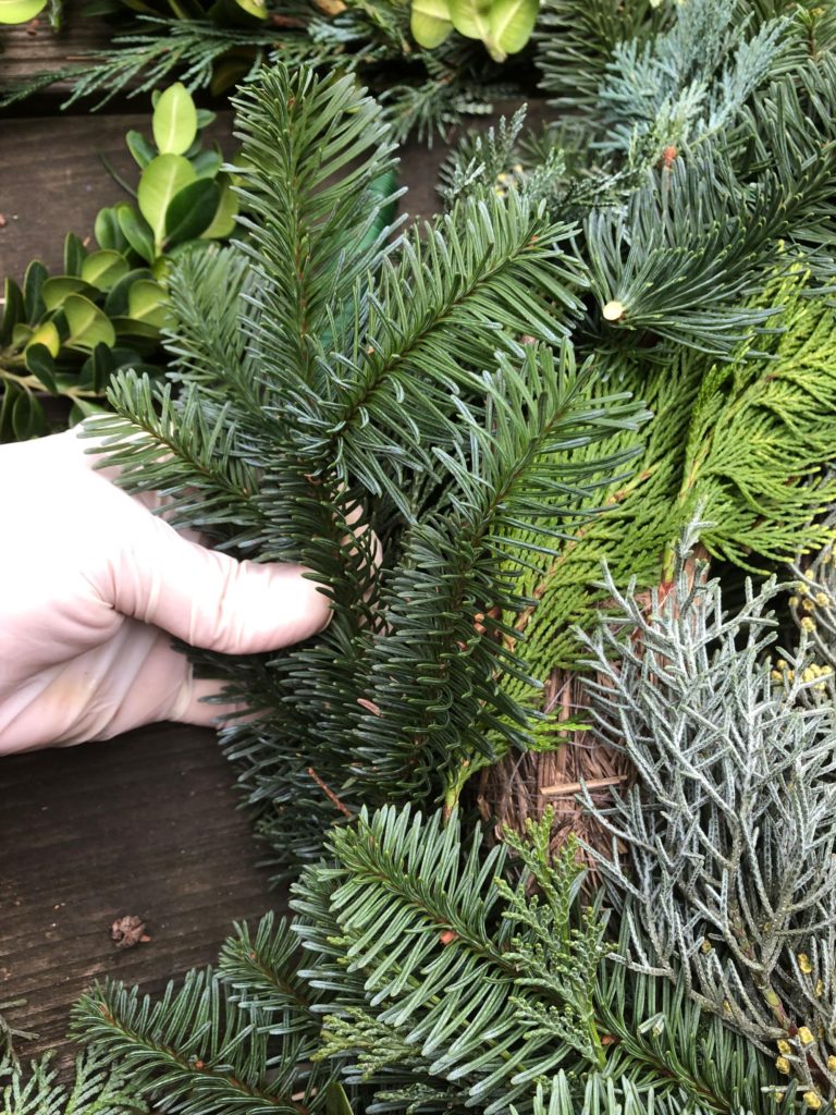 Please accept cookies first