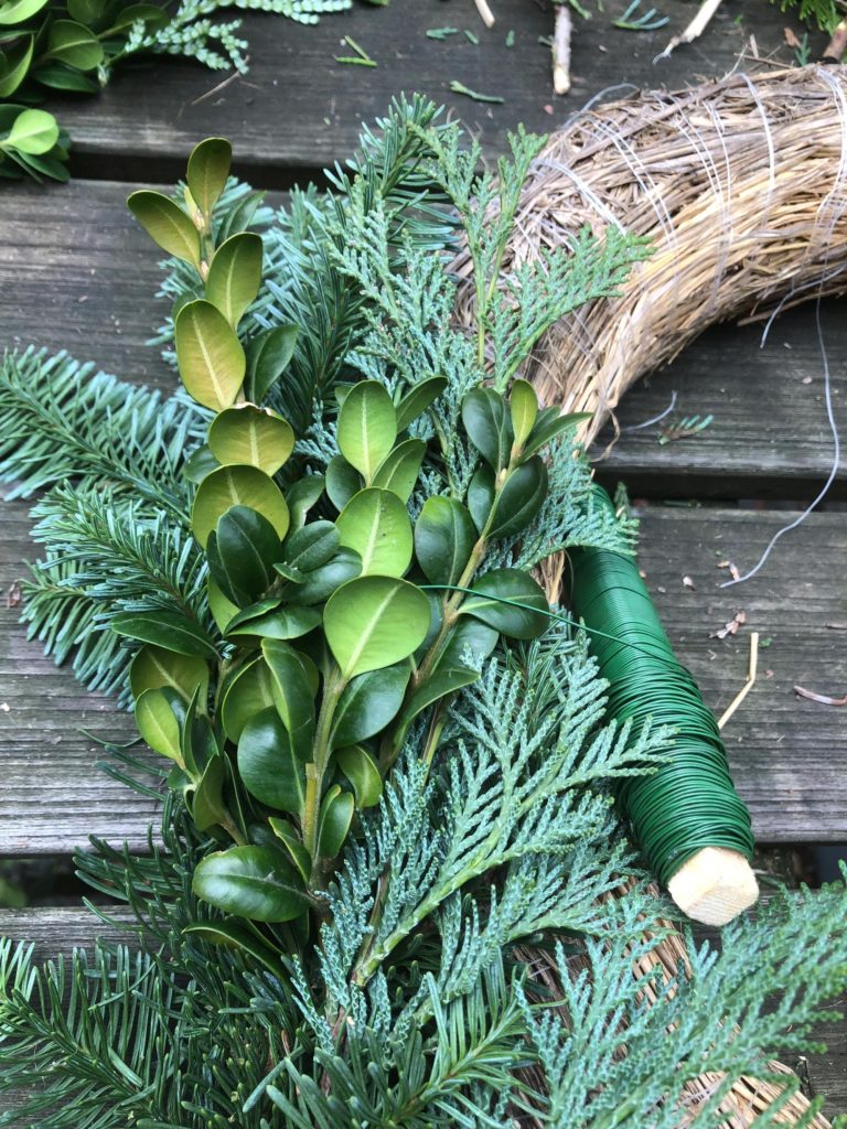 Please accept cookies first