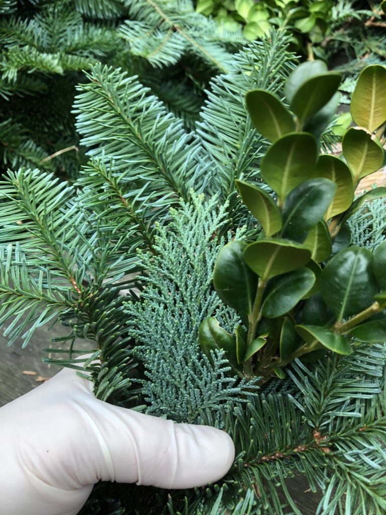 Please accept cookies first